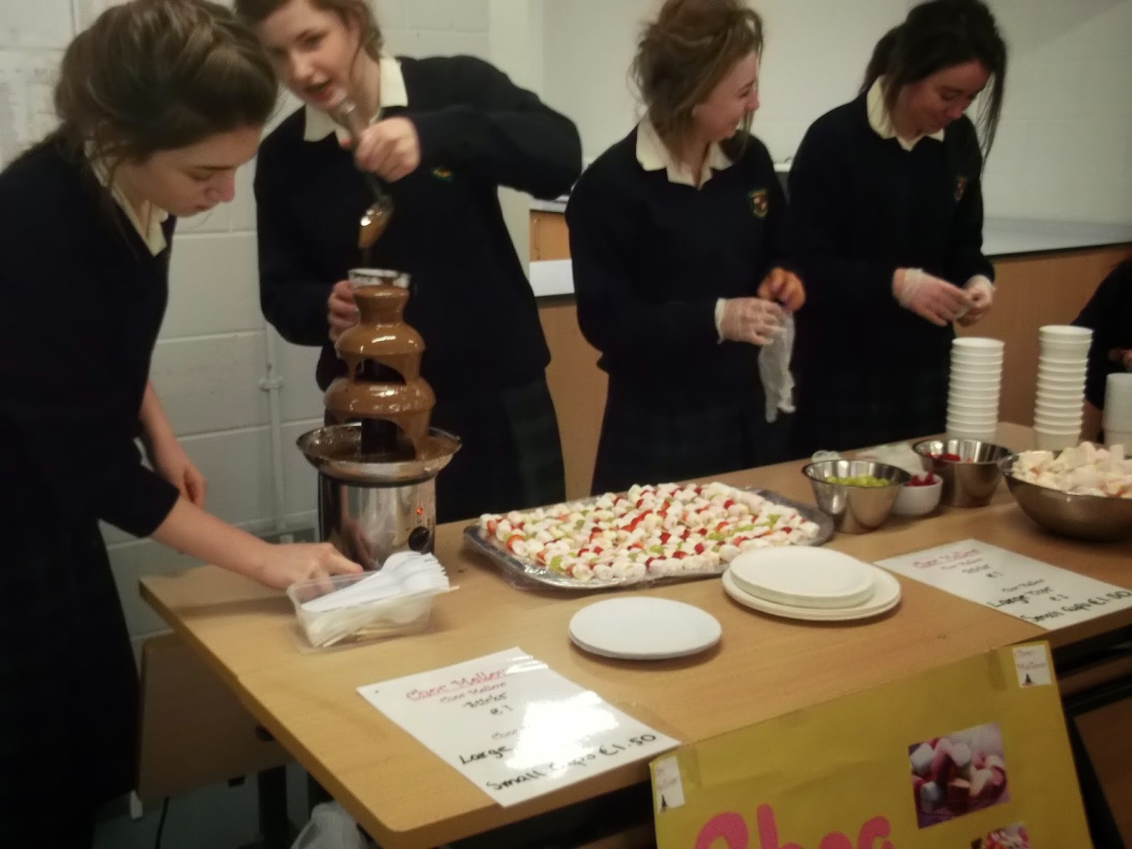 Transition Year Blog TY Mini Company and Student Enterprise Awards 2015